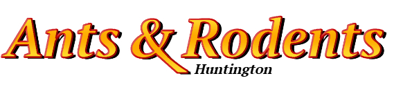 Huntington Ant Exterminator & Rodent Control Company Logo